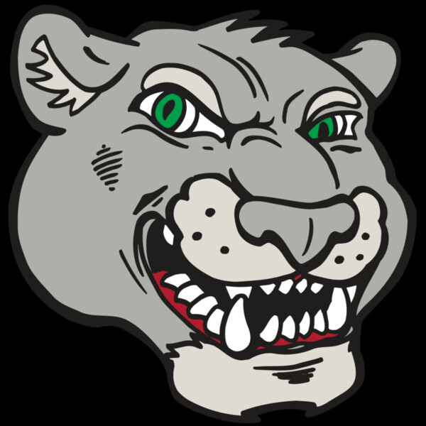 AR5 Cougar 06 RQC Thumbnail