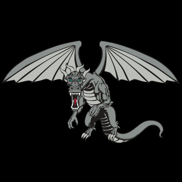 BAW DRAGON 04 RC Thumbnail
