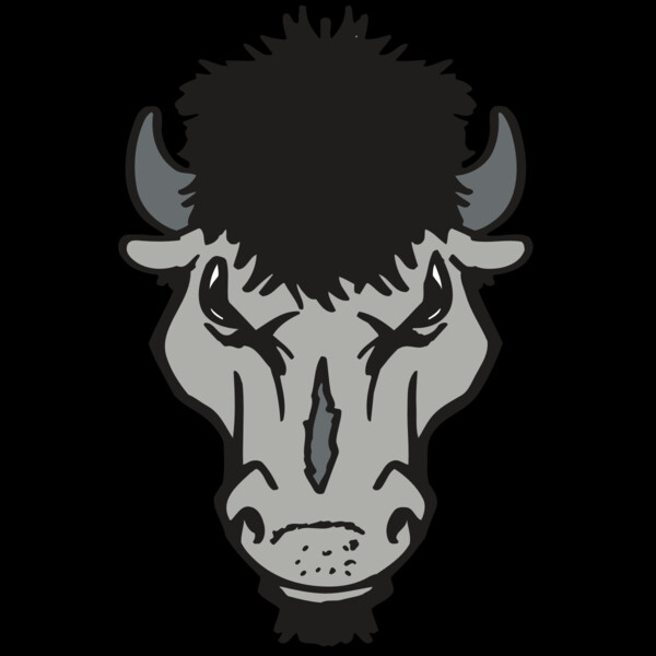 AR BUFFALO 15 RC Thumbnail