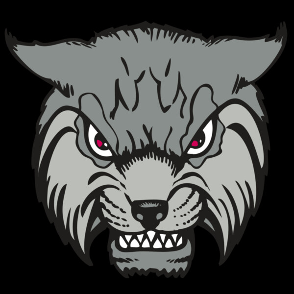 BAW BOBCAT 02 RC Thumbnail