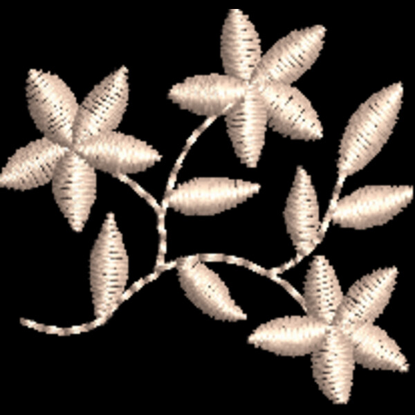 NZ791 Thumbnail