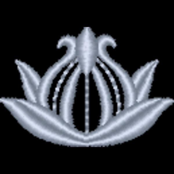 NZ800 Thumbnail