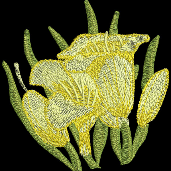 FP308 Thumbnail