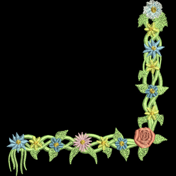 FP203 Thumbnail