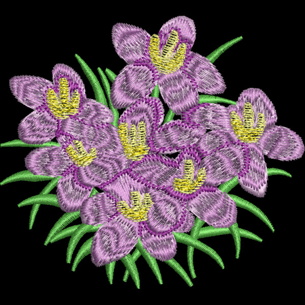 FP310 Thumbnail