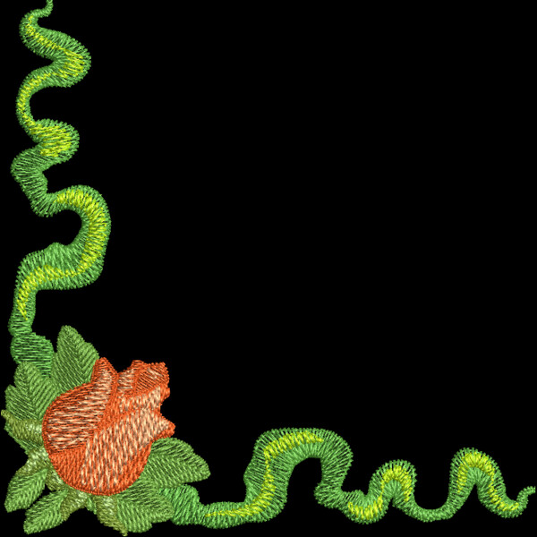 FP206 Thumbnail