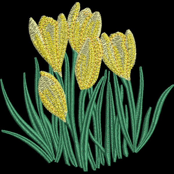 FP299 Thumbnail